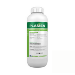 Plamen