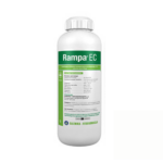 Rampa EC