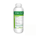 Ritmix Plus