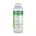 Skaut