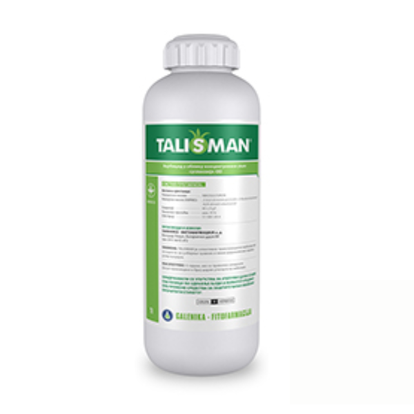 Untitled design (30) Talisman - Slika 1