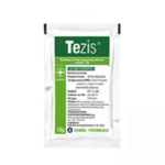 Tezis