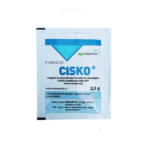 Cisko