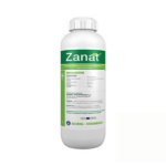 Zanat