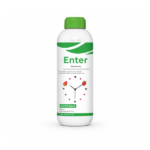 Enter