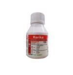 Karika - Slika 2