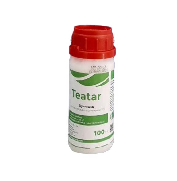 teater100 Teatar - Slika 1