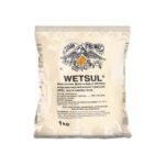 Wetsul